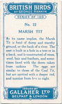 Marsh tit.