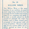 Willow wren.