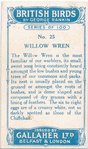 Willow wren.