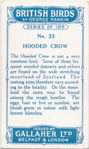 Hooded crow.