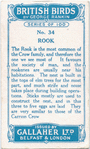 Rook.