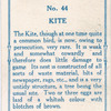 Kite.
