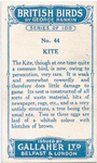 Kite.