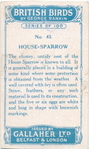 House-sparrow.