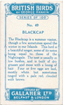 Blackcap.