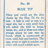 Blue tit.