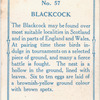 Blackcock.