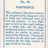 Partridge.