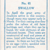 Swallow.