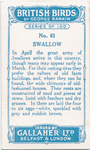 Swallow.