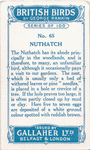 Nuthatch.