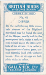 Dipper.