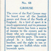 Grouse.
