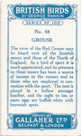 Grouse.