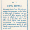 Song thrush.