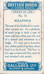 Bullfinch.
