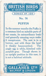 Puffin.