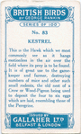 Kestrel.