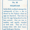 Nightjar.