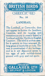 Landrail.