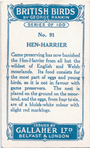 Hen-harrier.