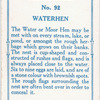 Waterhen.