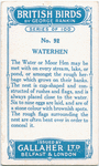 Waterhen.
