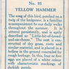 Yellow hammer.