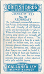 Redbreast.