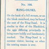 Ring-ousel.