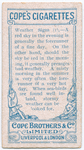Weather signs (1) [verso only]