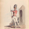 Grenadier of the 1st Regiment of Guards.