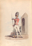 Grenadier of the 1st Regiment of Guards.