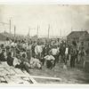 Negro laborers