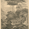 Cerfs à la fontaine.