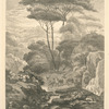 Cerfs à la fontaine (publiée dans l'Artiste).