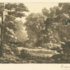 [Une petite mare entounée d'arbres.]