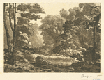 [Une petite mare entounée d'arbres.]