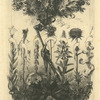 Frontispice inédit pour Les fleurs de mal de Baudelaire.