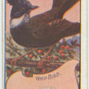 Whip Bird.