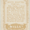 White Shafted Fantail.