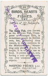 The snipe fish.