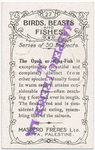 Opah or king fish.