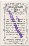 The albicore fish.