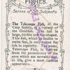 The telescope fish.