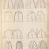 Elements of ornament, exemplified in the forms and method of drawing divers kinds of leaves, employed in that branch of art.