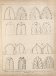 Elements of ornament, exemplified in the forms and method of drawing divers kinds of leaves, employed in that branch of art.