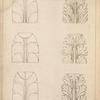 Ornamental drawing leaves, II.