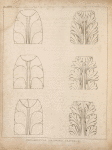 Ornamental drawing leaves, II.