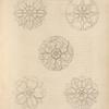 Elements of ornament. Showing the application of various kinds of leaves in forming roses, pateras, &c, &c.